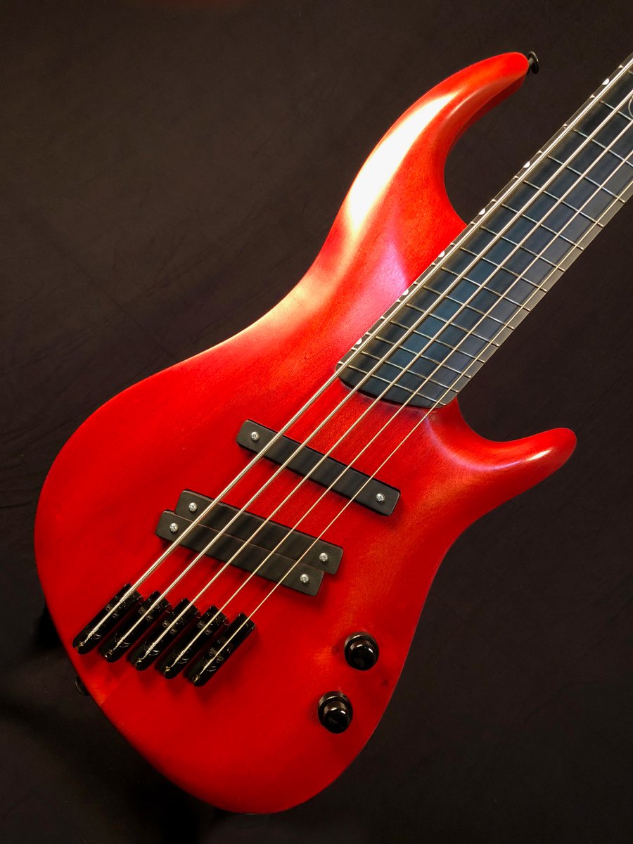 Kalium_Music's tweet photo. Bold color, Bold sound. The Quake Bass. Follow the link for an introduction. 
https://t.co/zc9c2EWMCN
 #Kalium #KaliumMusic #Possibilities #quakebass #strings #extendedrange #alttuning #fanfret #Multiscale #solobass #droptune #dingwall #music #genre #song #songs #melody https://t.co/DwF6X9UxHI