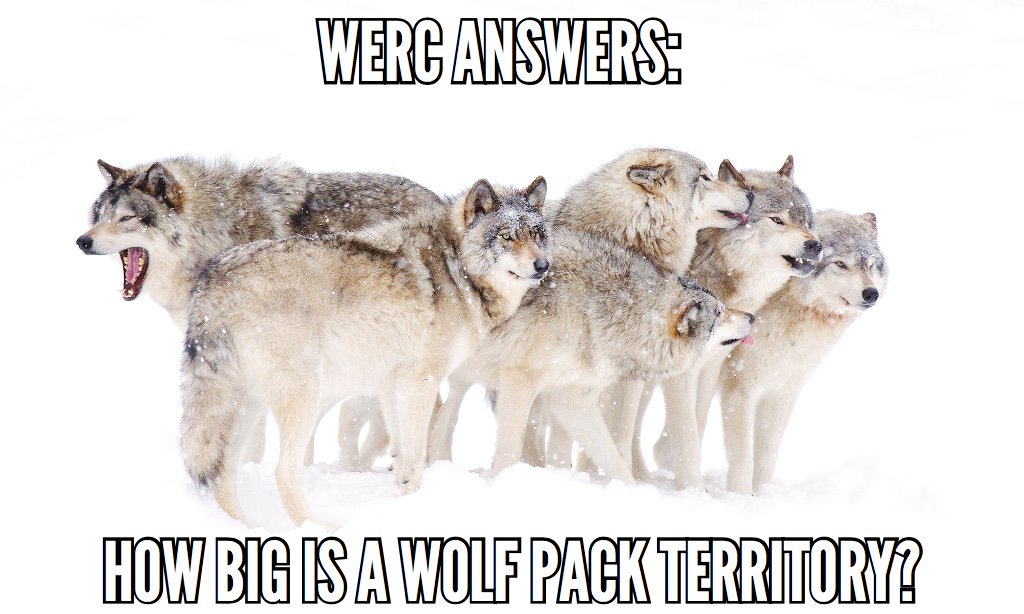 Wolf Center on Twitter "WERC Answers How Big is a Wolf Pack Territory? https//t.co