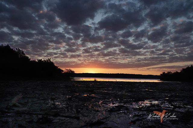 TranquilLens's tweet photo. Sunrise...#outdoorphotography #tranquillensphotography #jw_snapshots #jwvisuals #nature #getoutnshoot #focus  #natureshooters #nature_obsession_animal #skyphotography #sunrise #lake #tuttlecreek #kansas #jwshutterbugs https://t.co/p8GqSR3DU8 https://t.co/HmDM4aKrxq
