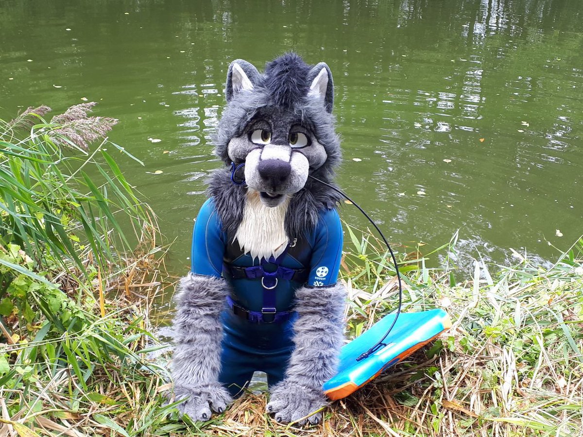 SzurkyWolf's tweet photo. Heyyy beautiful day of September, ideal for bodyboarding: 3 enjoy
#ShinyFursuit #Fursuit #WetWolf #Wetsuit #FursuitWolf https://t.co/ccSjtMrDPq