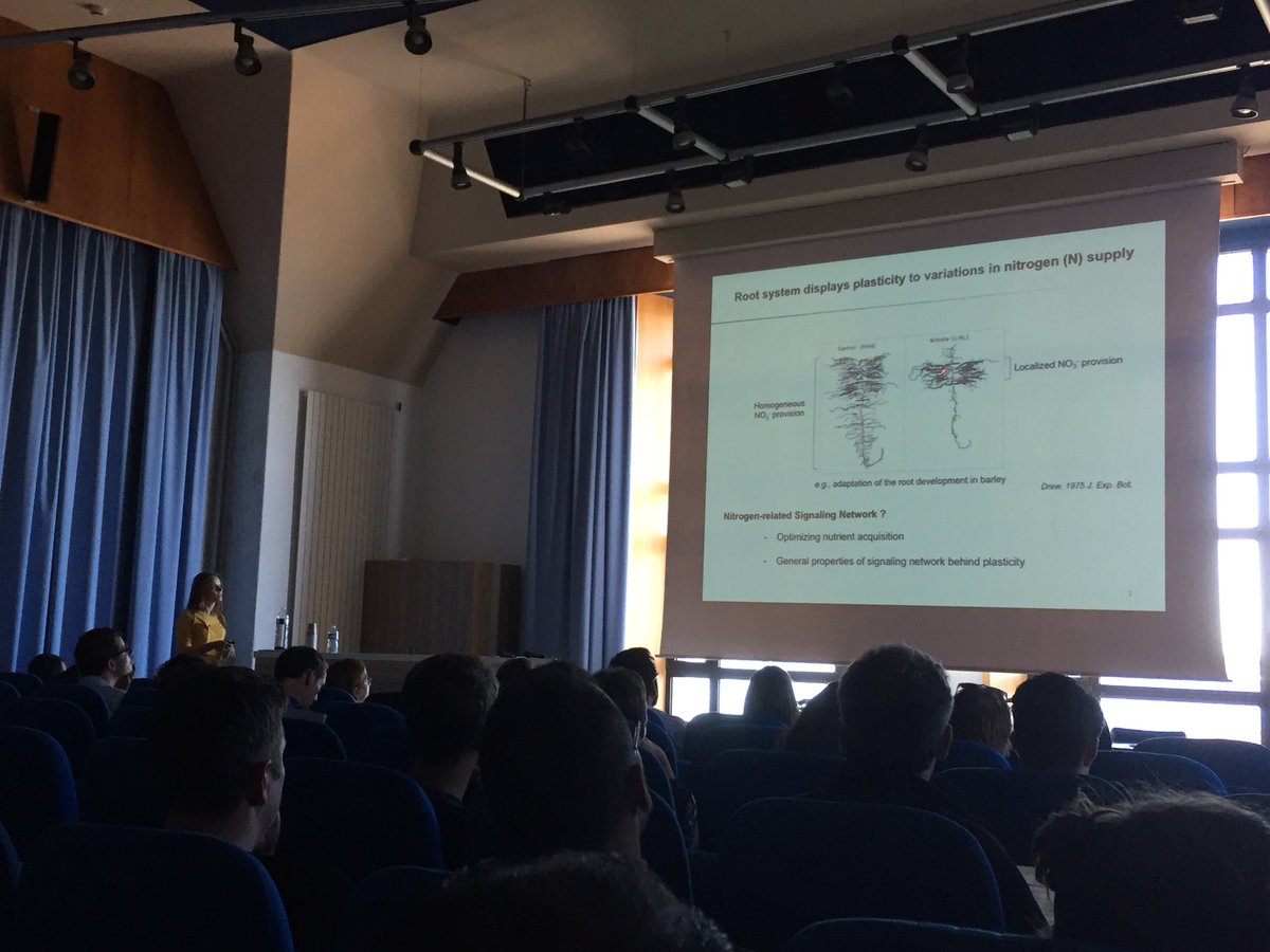 Peret lab tweet media