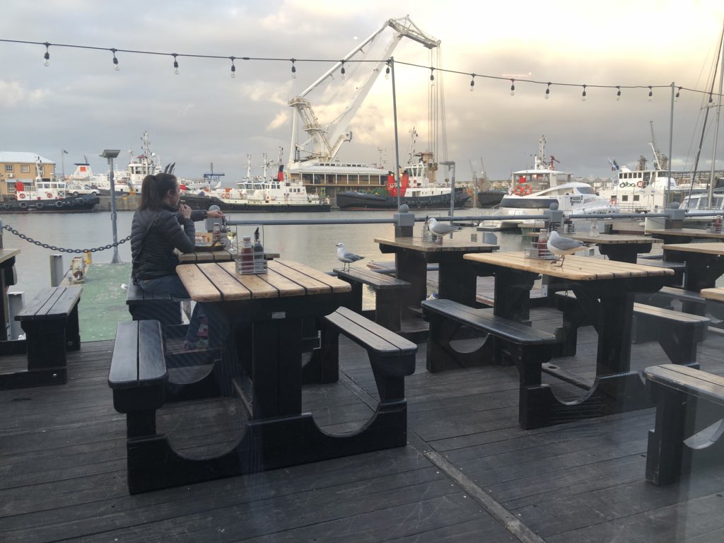 This poor woman is being stalked by seagulls for her chips. They’re being quite aggressive! #CapeTown #Waterfront #BloodySeagulls