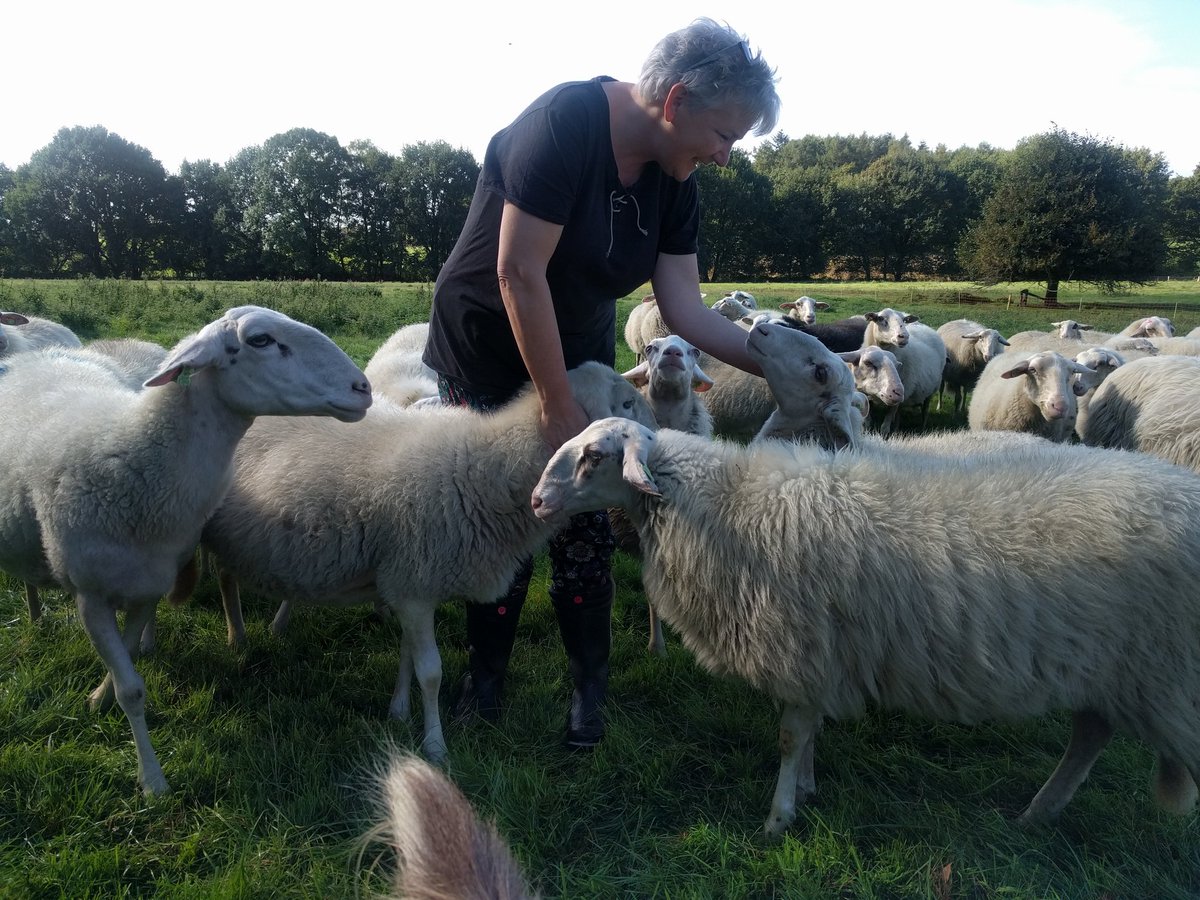 rhedensekudde's tweet image. #Reiki Jadaim sponsort de Rhedense Schaapskudde!

Van iedere behandeling en verkochte kadokaart komt een deel ten goede aan onze #schapen. Ook #sponsor worden? Tweet ons!