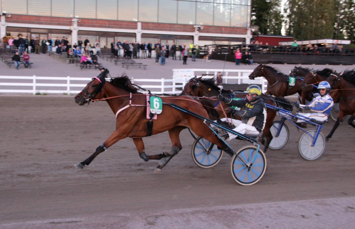 Jokimaanravit's tweet photo. 4.lähdön voittaja Fire Spruce ja Juha Utala #ravit #jokimaa https://t.co/d5ksxAJNkj