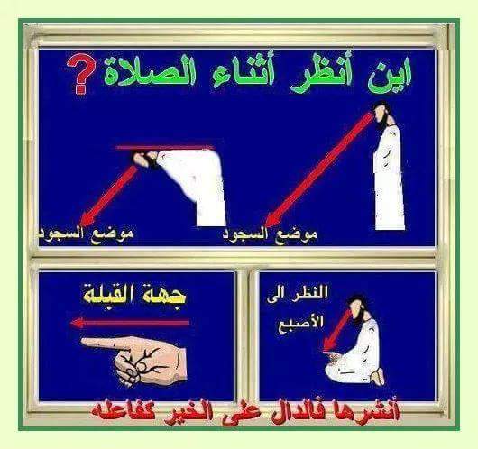 االعربي tweet media