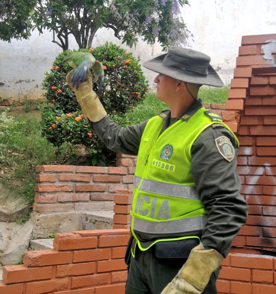 Policía Metropolitana de Bucaramanga tweet media