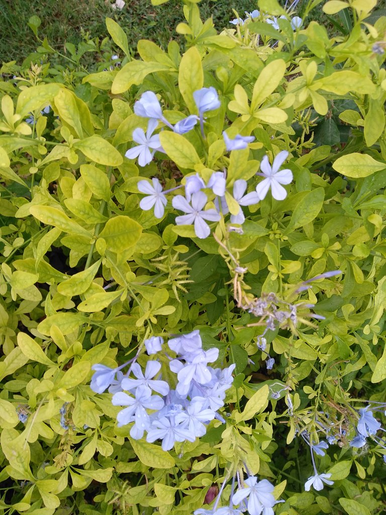 <a href="/Vappuk/">ian</a> <a href="/BerneLarry/">berne🌹larry🍒</a> <a href="/cmont4560/">cmontagne</a> <a href="/huskorkut/">huskorkut</a> <a href="/baykaler/">gazi</a> <a href="/jbrent5035/">Brent T. Johnson</a> <a href="/mtntezcan/">Metin Tezcan</a> <a href="/LackeyMary/">Mary Lackey</a> @sadkberki <a href="/MarionSpekker/">Marion Spekker</a> <a href="/VenetiaJane/">VenetiaJane's Garden</a> <a href="/1819aribaba/">aribaba</a>