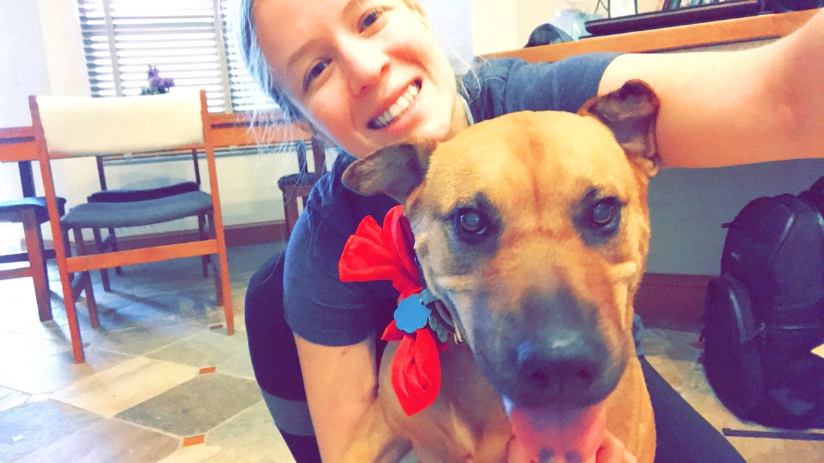 Joyce Jacobson tweet media