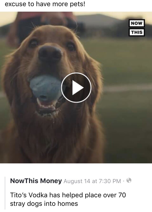 Joyce Jacobson tweet media