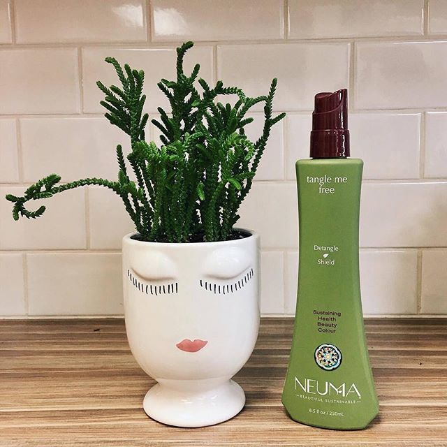SalonOnlySales1's tweet photo. Fun fact: @neumabeauty reNeu Tangle Me Free Leave-In Conditioning Spray features a proprietary blend of plant extracts and essential oils Phyto Color Complex to maximize color hue, vibrancy, and longevity while Phyto UV Shield, an exclusive combination o… https://t.co/gTcgjMvP9R https://t.co/YhnHXK6VnC