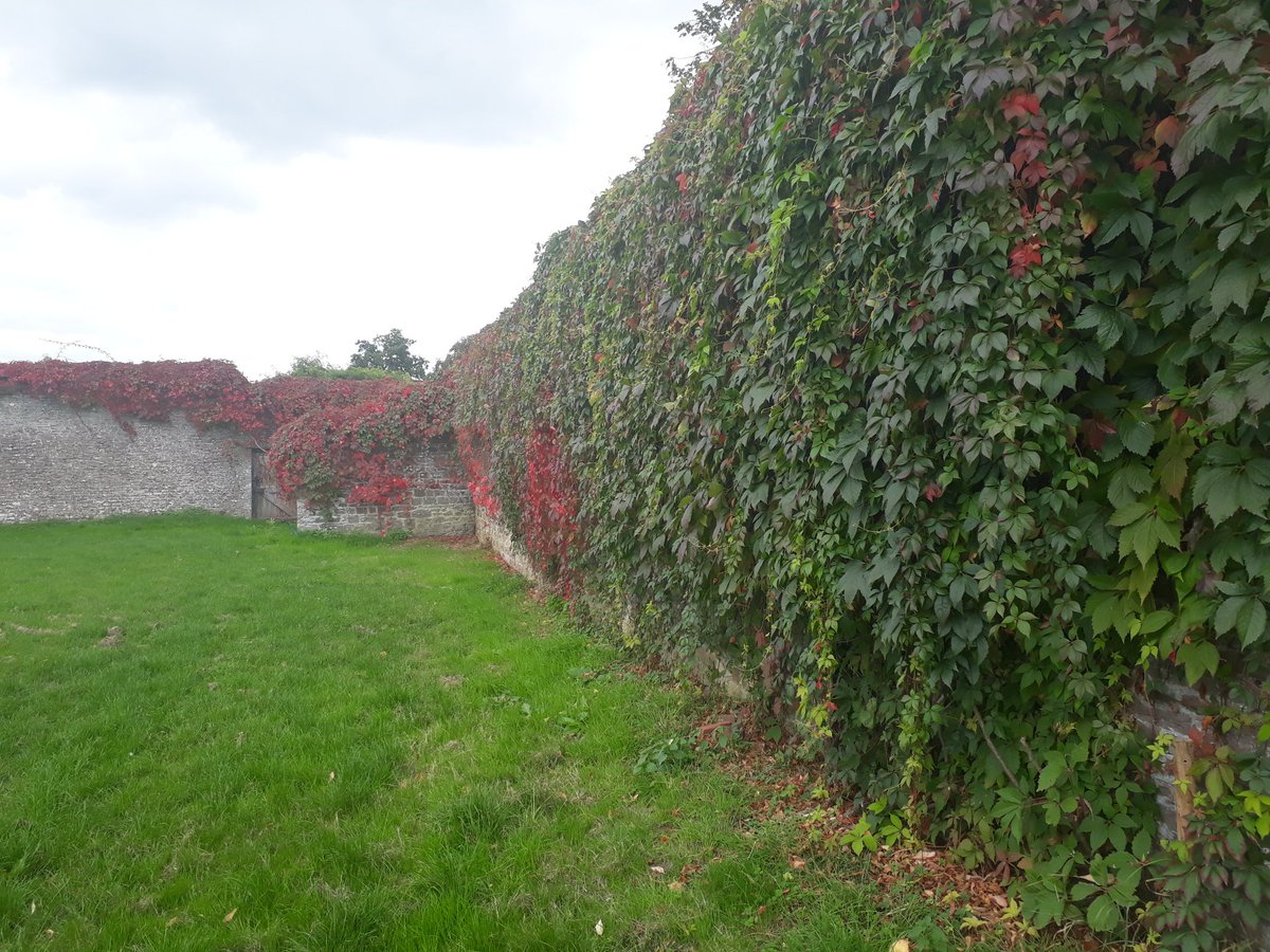 Glanusk's tweet photo. Walk along our #permissivepath and you will see the changing colours #walledgarden #glanusk https://t.co/V160ab8RUb