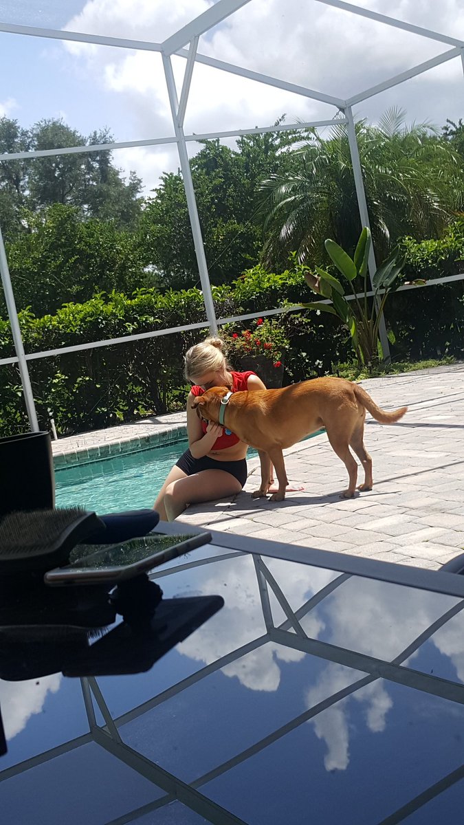 MattBrandt tweet media