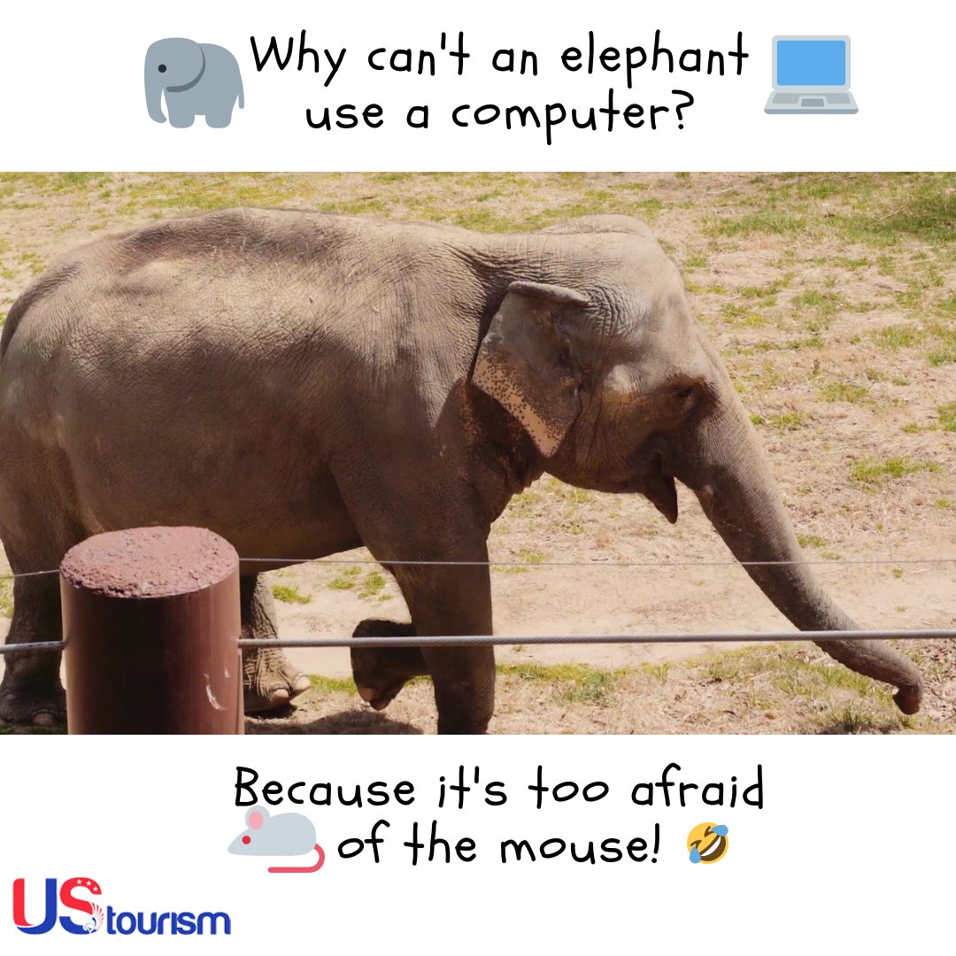 US Tourism tweet media