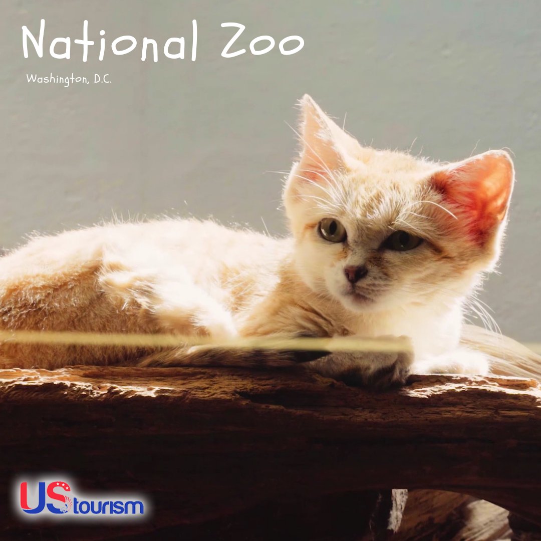 US Tourism tweet media