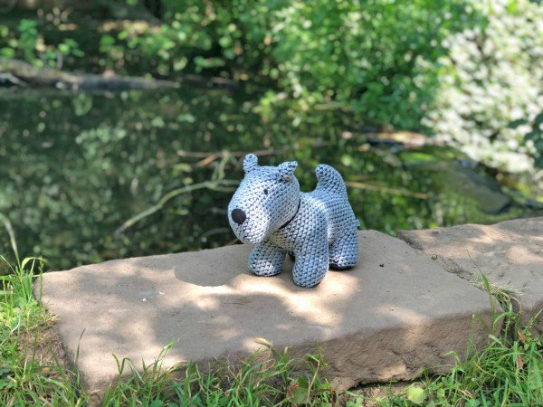 Looks like our Storm Dog doorstop is off for a swim!  The perfect gift for less than £15… ow.ly/JUMD30lzdtx