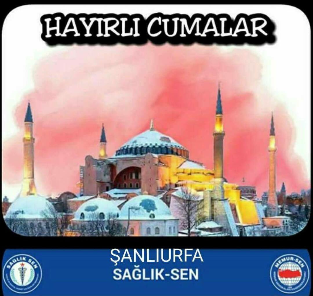 SaglUrfa's tweet photo. https://t.co/cDDMbxemna