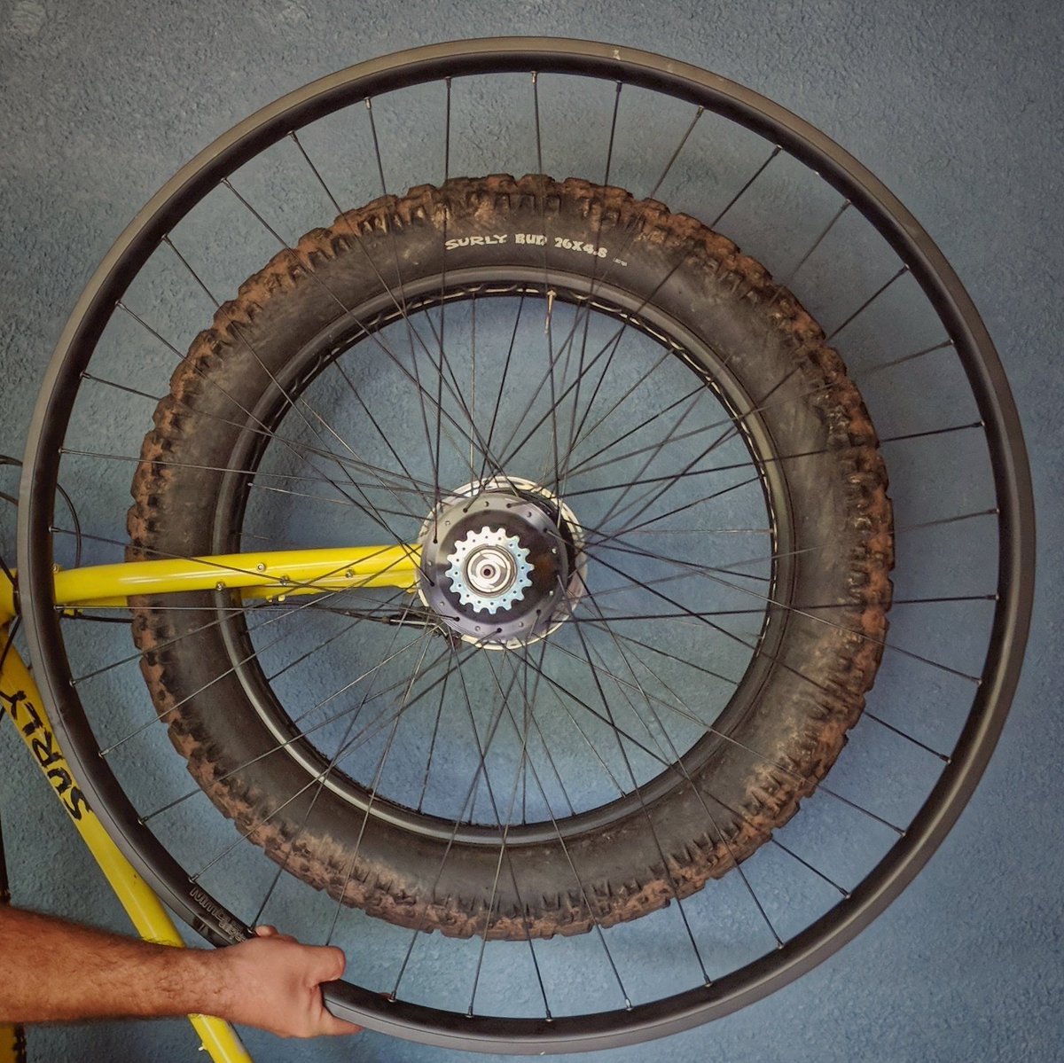 QualityBike's tweet photo. Just how big is a 36er wheel? A few photos for scale. Yes, that is a Surly Ice Cream Truck in the background (we couldn’t find a banana.)
Custom builds like this one with a Rohloff Speedhub are now available through Quality Wheels & your favorite LBS!
#qualitywheels #36er https://t.co/R7xDIXtHi6