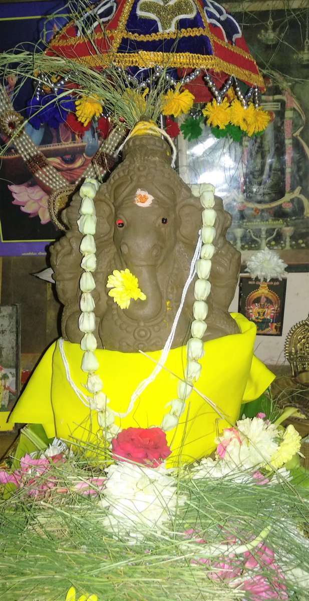 Why Durva grass or Arugampul is dear to Lord Ganesha… storibuzz.in/why-durva-gras…