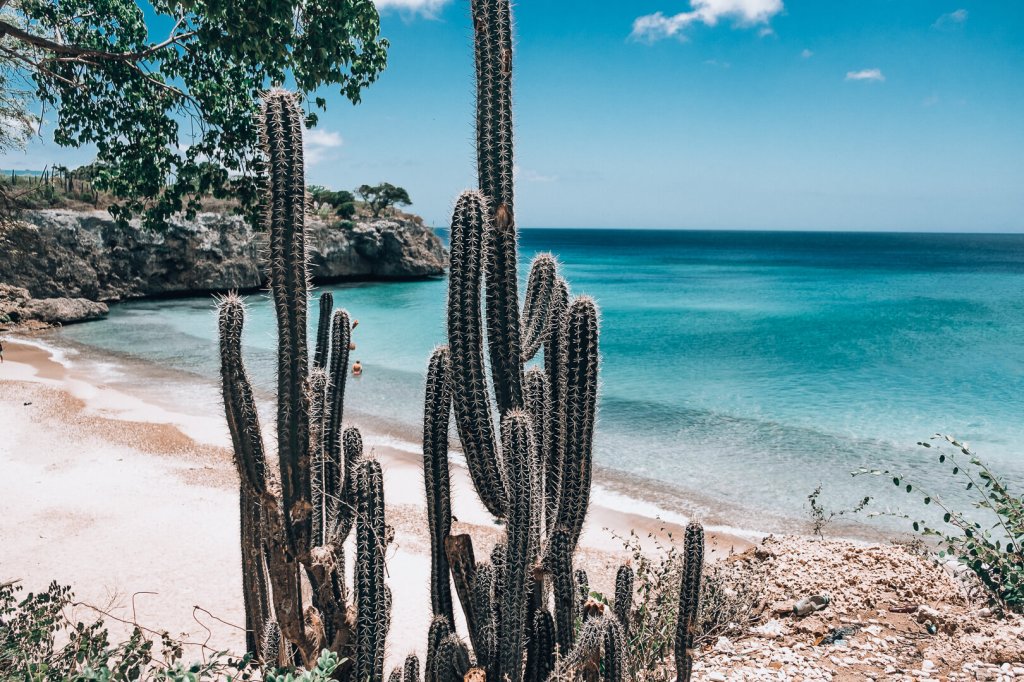 Why you should visit Curacao oneloveourlove.com/blog/why-you-s…