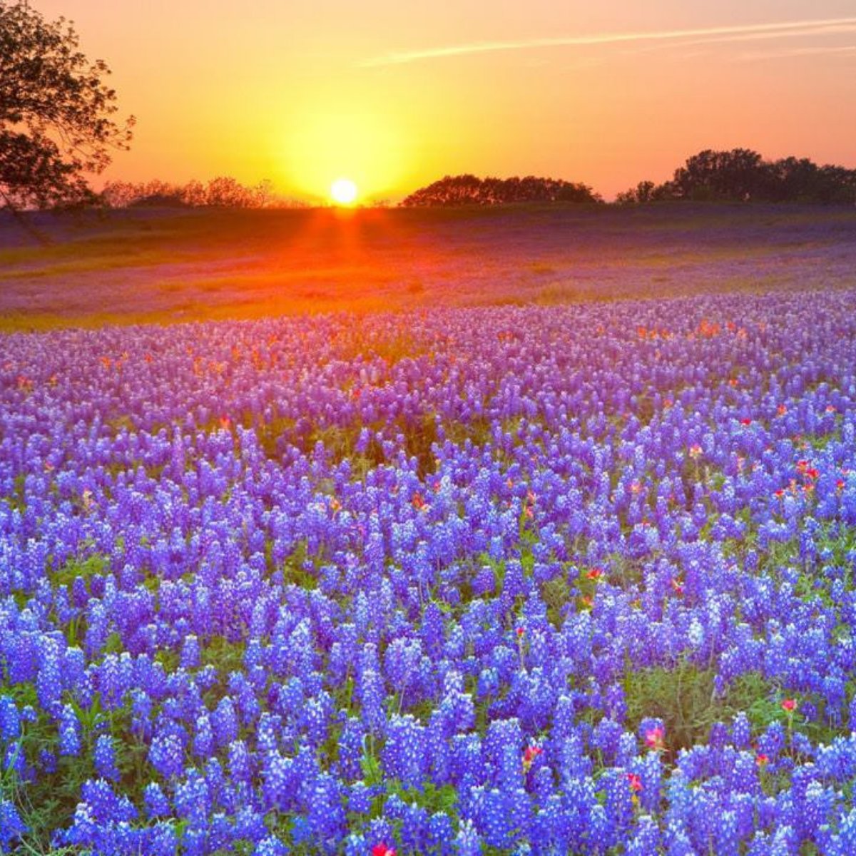 IvapeG's tweet image. Thank you for supporting local.