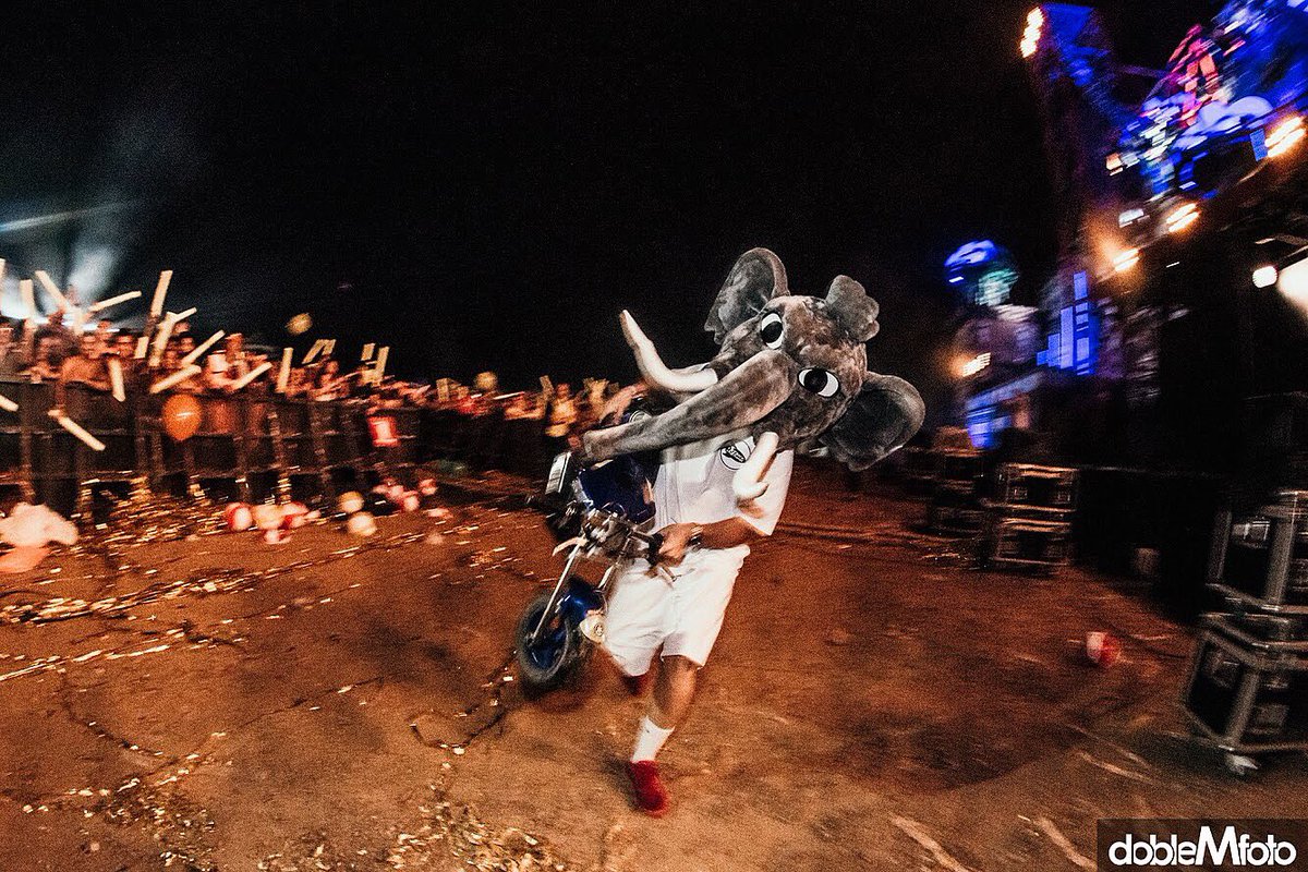 Tú cuando te enteras de que se acaba el verano🏃🏻‍♂️💨
#spaceelephants foto: @doblemfoto