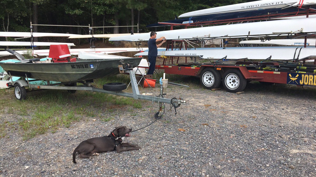 JordanLakeCrew's tweet photo. Our foster mascot, Becks, from @PeakLabRescue supervising boat moving ahead of #HurricaneFlorence he’s a dream puppy! #rowingdogs #boatdogs #rowing #rowinglife https://t.co/XmKi3rTzyS