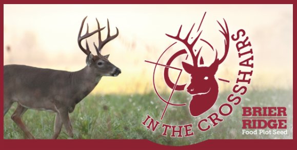 ForageFirst's tweet photo. Planting fall #foodplots? Get tips in our latest #BrierRidge In The Crosshairs newsletter: https://t.co/vgACgnqKrl https://t.co/5cL9wSU870