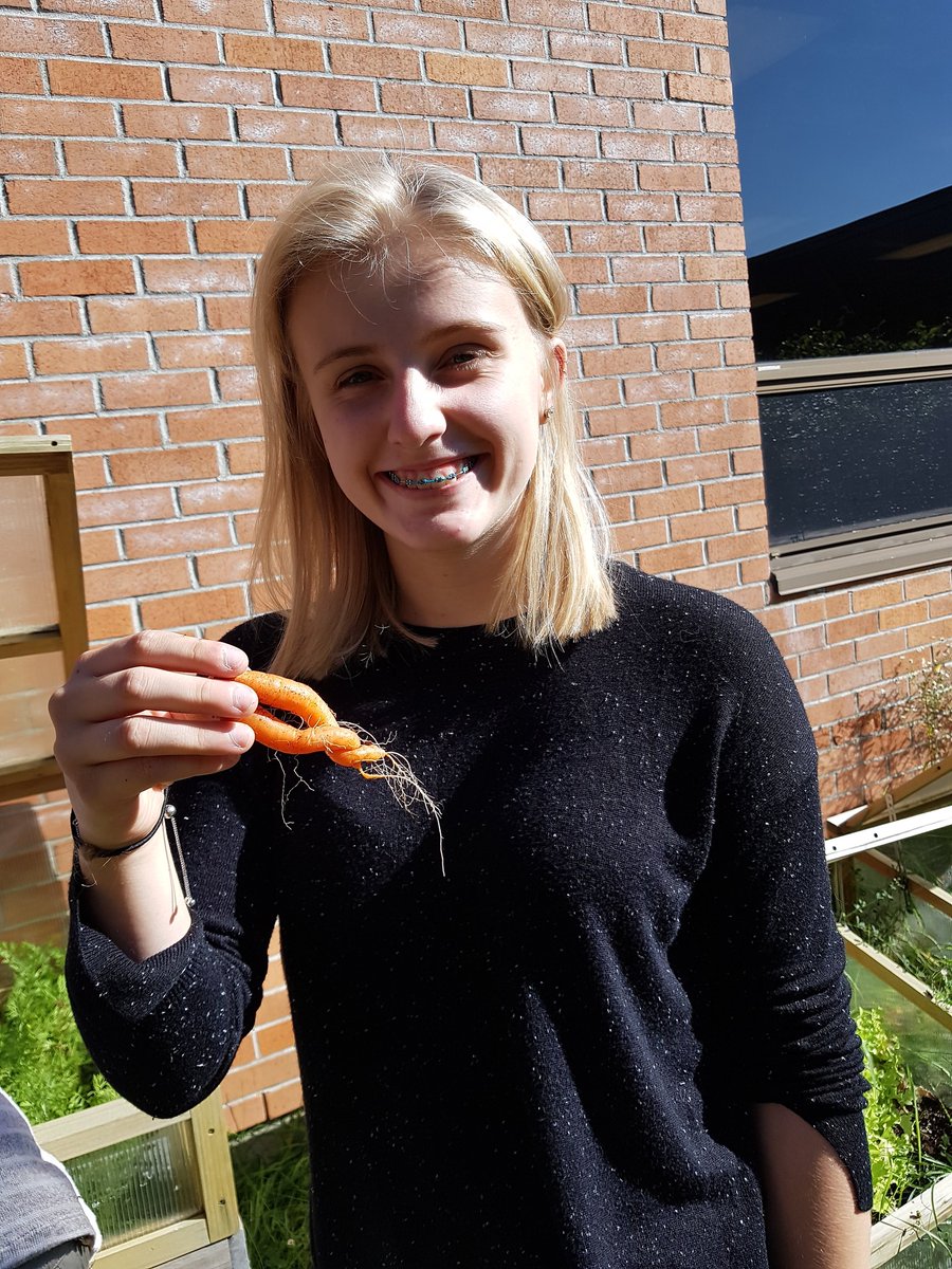 m_lambruschini's tweet photo. Harvest time for the carrots @CEandSSchool ! They're going to be served up tomorrow at the welcome back BBQ! Carrot sticks? Carrot cake? Carrot soup? We'll find out soon! #LearnWLambo #ADSBLearns @mstconstable https://t.co/NTS2WnU3Qa