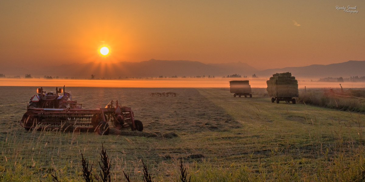 RandySmall's tweet photo. Farm #sunrise from #Lynden, WA today! @ScottSKOMO @MorganKIRO7 @komonews @KIRO7Seattle @KING5Seattle @Q13FOX @bhamweatherBham @ourLynden @ShannonODKOMO @Rhonda_A_Lee @KellyFranson @katieboerTV @NWSSeattle @spann @ThePhotoHour @StormHour @lbc_weather @WeatherNation @JimCantore https://t.co/uR3PAQZvCk