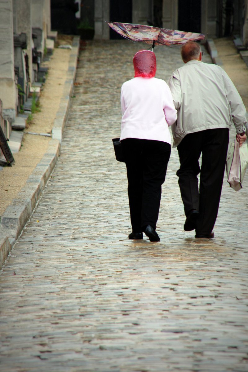 Even over iets wat je nog maar zelden tegenkomt. florapro.nl/nieuws/column-…