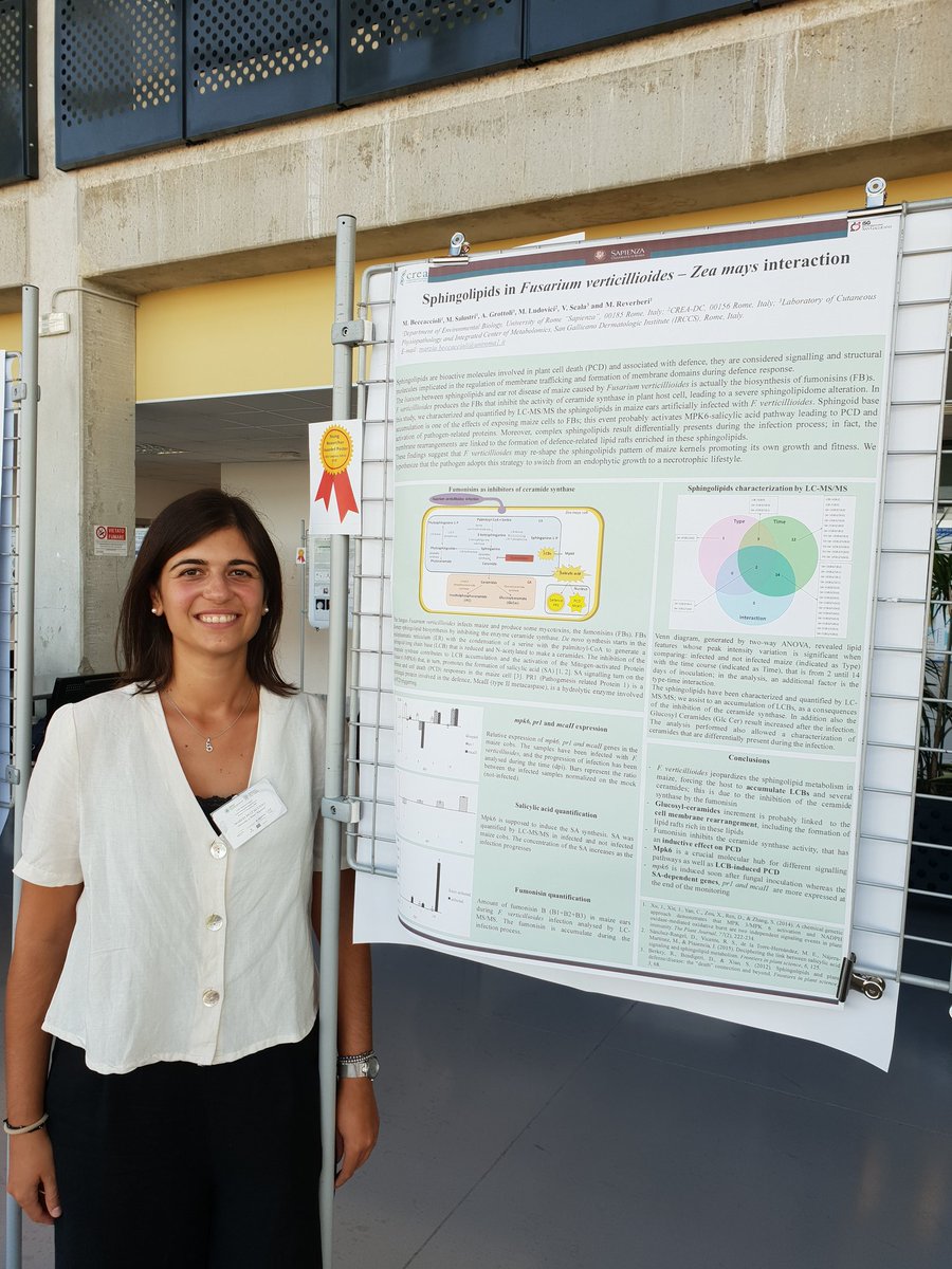 LFaino's tweet photo. Young scientist award #SIPaV2018 https://t.co/vpMb6oJHOF