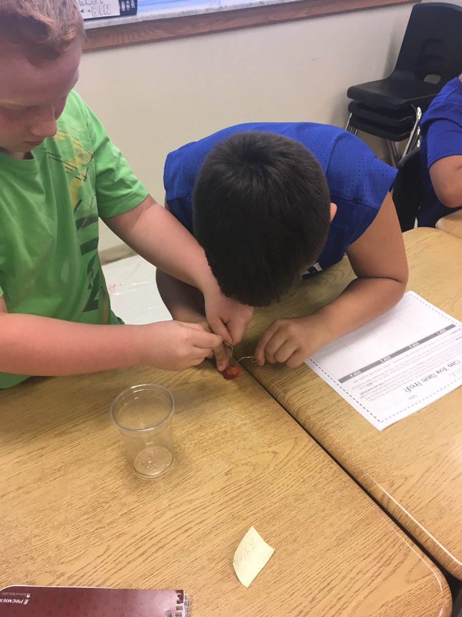 Mrs. Pfaff tweet media