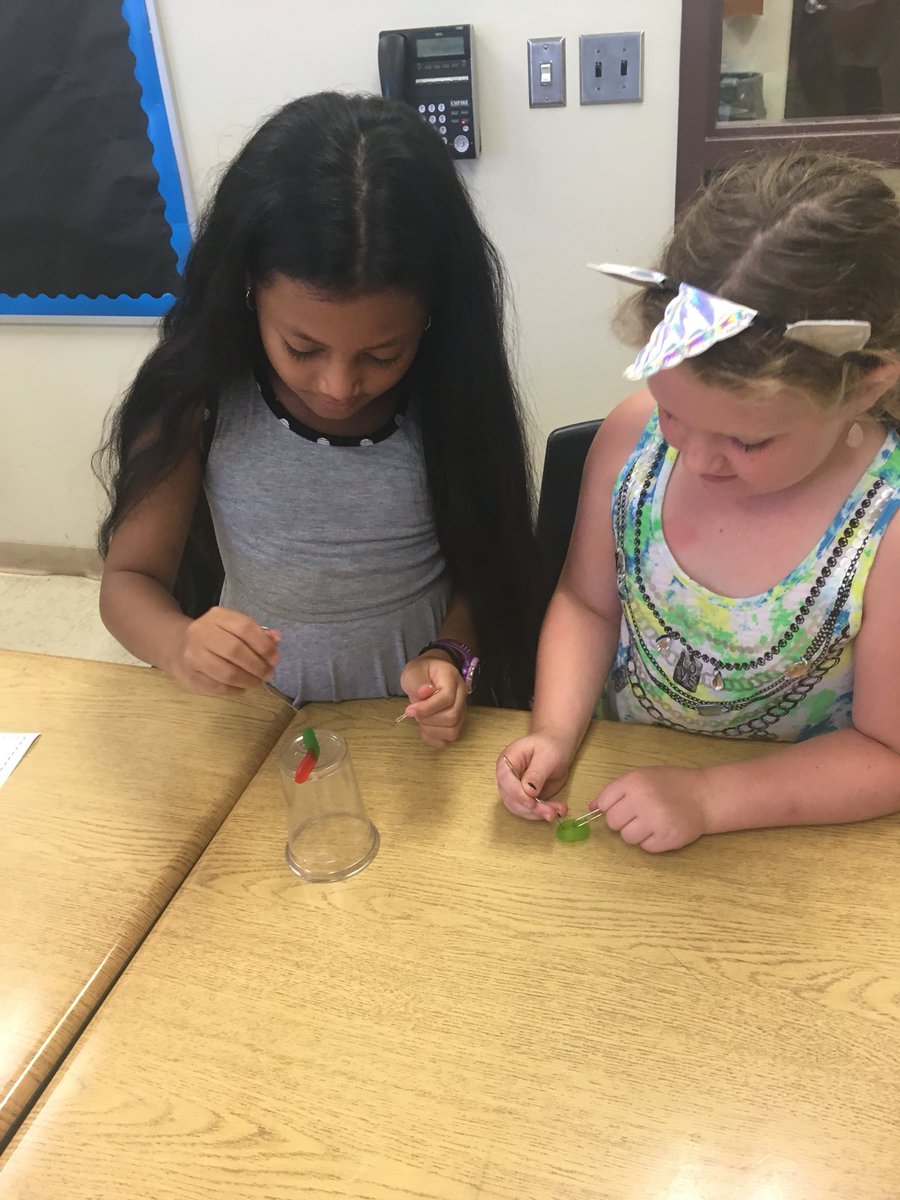 Mrs. Pfaff tweet media