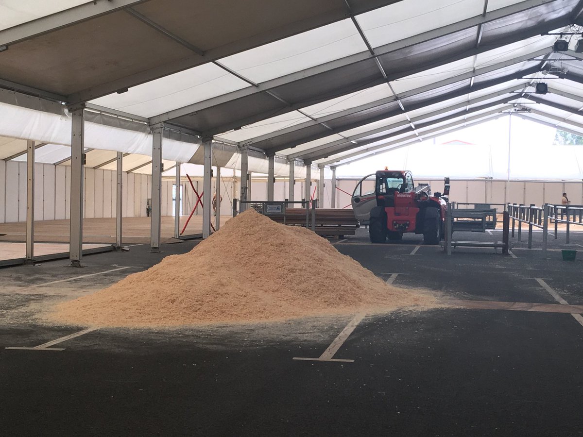 FElevage's tweet photo. Rdv à #festielevage ce WE🐮🐂🐐 https://t.co/x7fRZXWMum