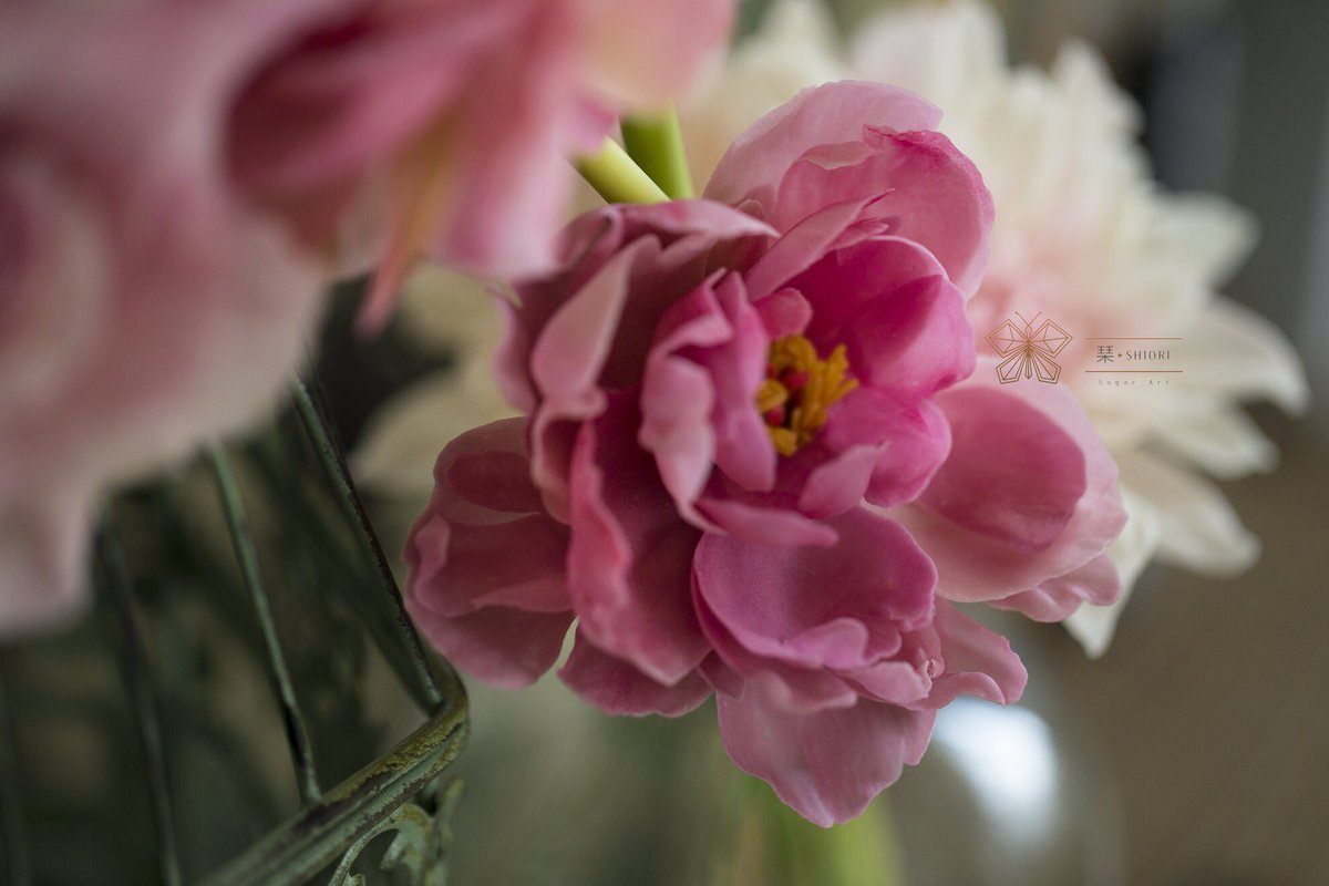 shiorisugarart's tweet image. #beanpastecraft #beanpaste #beanpasteflower