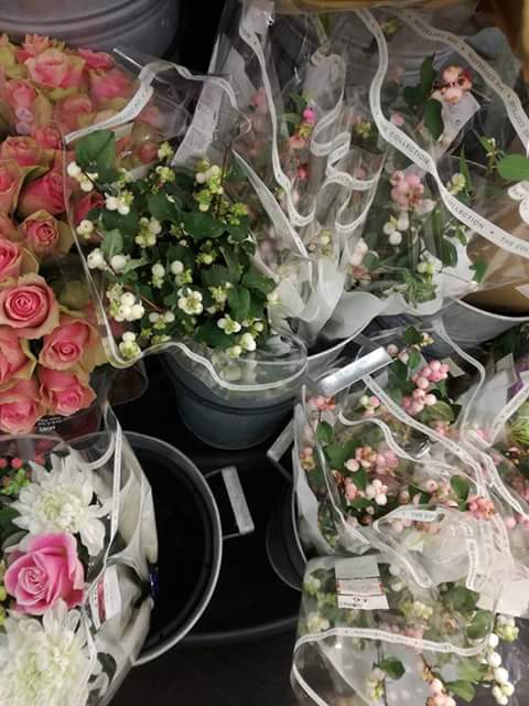 Fatma6783's tweet photo. لا أريدُ س��وى القّوة على تحمّلِ الأشَياء بِهدوء, أشياء مِثل الظّلم, سُوء الحظّ, الحُزن،الأخَطاء, سُوء الفهْم. https://t.co/13UfJVwZF9