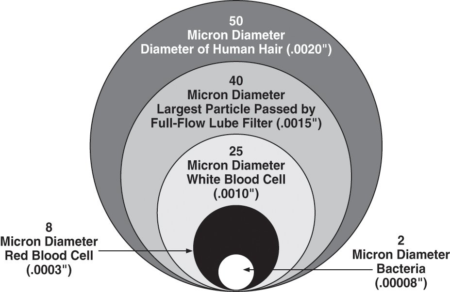 human hair diameter