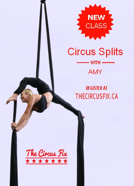 jamie7holmes's tweet photo. Come meet our new fab teacher AMY and check out her new classes!
Circus Splits
Hoop and Hammock
https://t.co/18s7bp4iOm to sign up and for all details:) https://t.co/wTq20DF5fO
