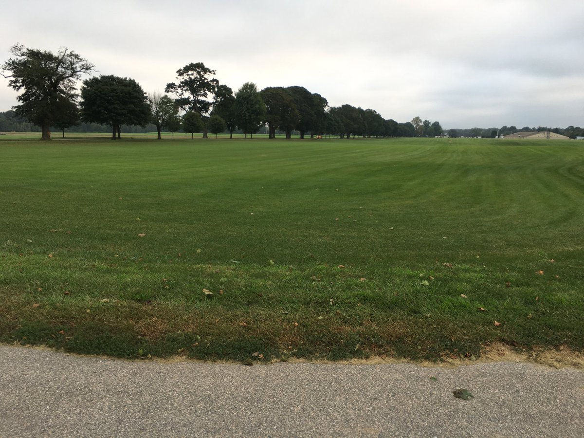 Roger Cook RogerCookTOH Twitter Roger Cook RogerCookTOH Twitter