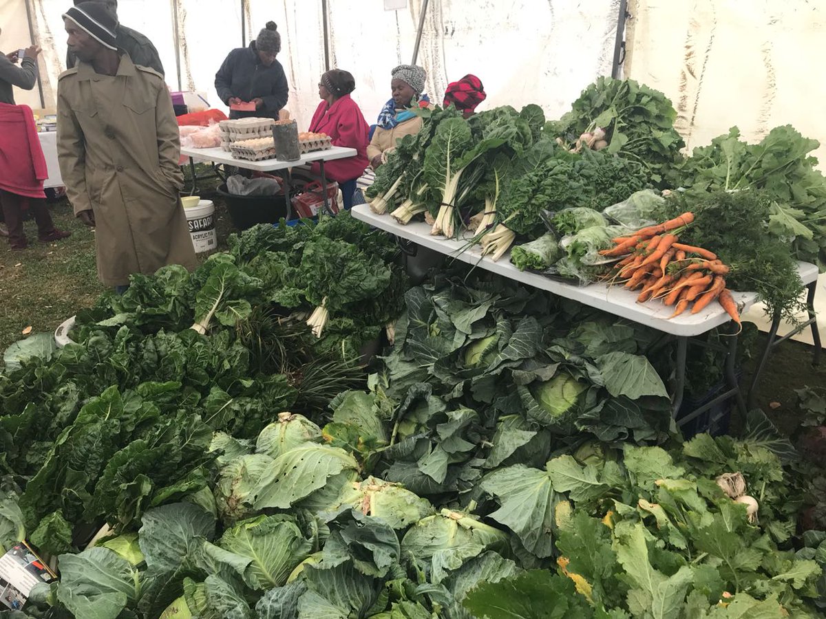 MnqumaMunic1's tweet photo. Agricultural OpenMarketDay, hosted by Mayor Ncetezo &amp; DRDAAR@ ButterworthMonument. Fresh produce Xhosa wear @tobinlow  prices
#HeritageMonth https://t.co/PjaEw57n3o