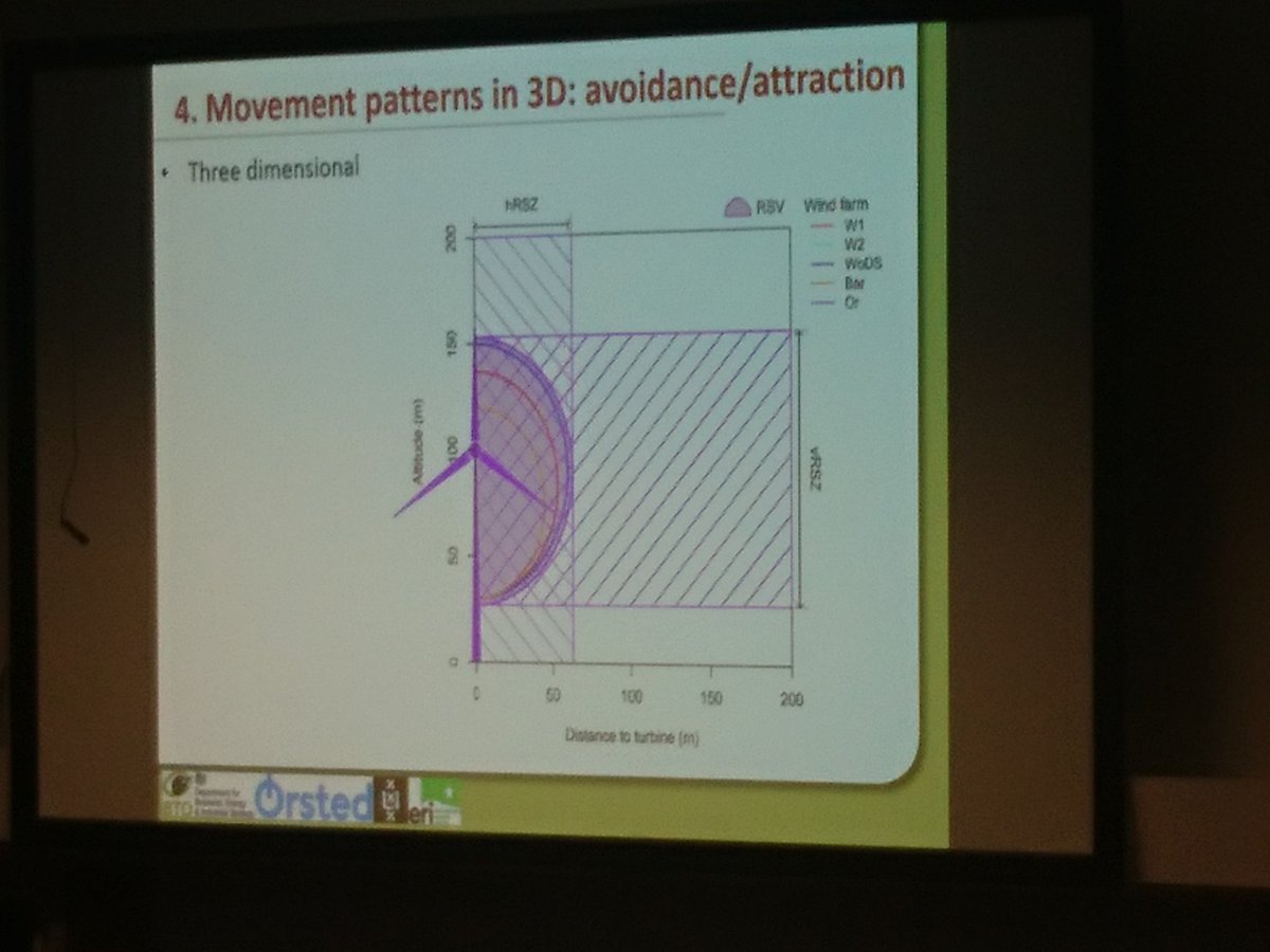 AonghaisC's tweet photo. Useful to be able to use tracking data to look at turbine avoidance in 3d @thaxalot #BTOResearch #seabirds18 https://t.co/i63gkMu5iT