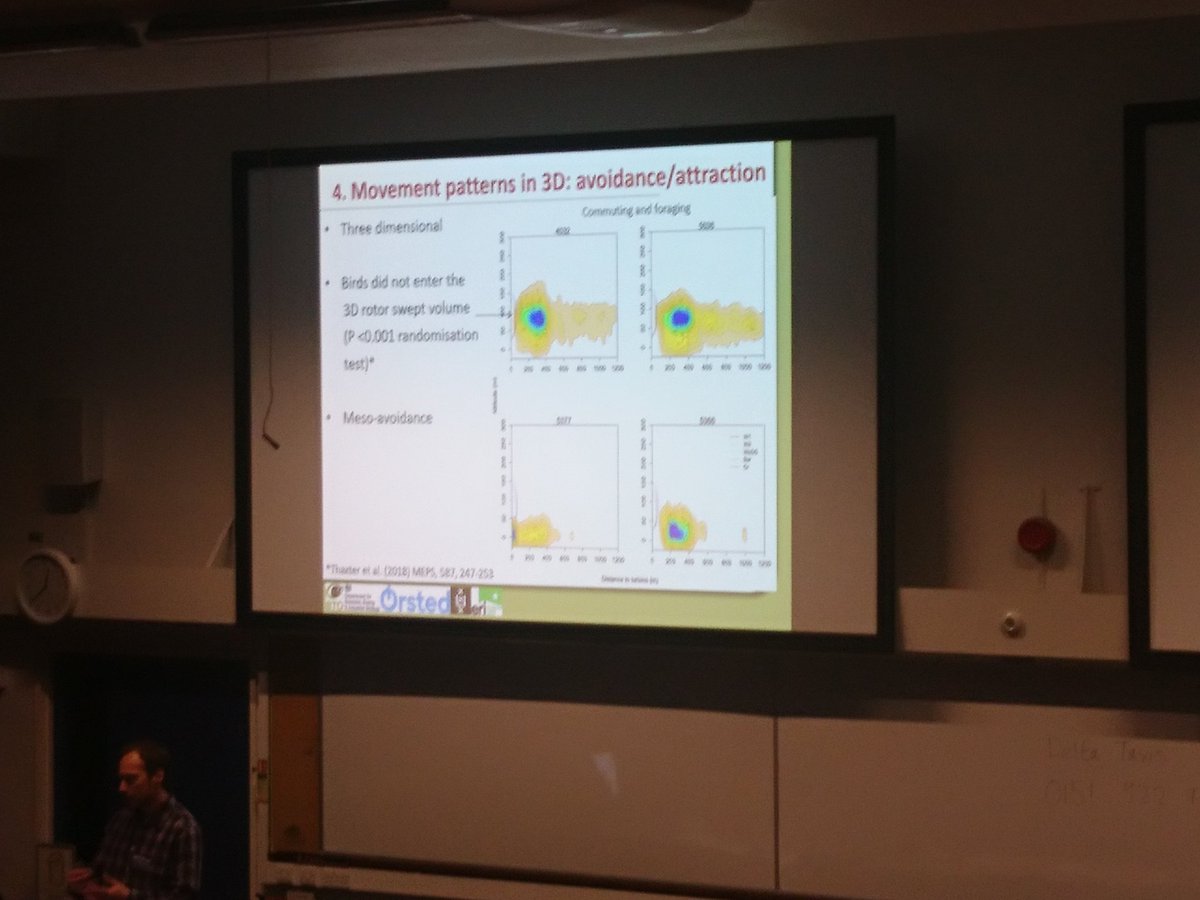 AonghaisC's tweet photo. Useful to be able to use tracking data to look at turbine avoidance in 3d @thaxalot #BTOResearch #seabirds18 https://t.co/i63gkMu5iT