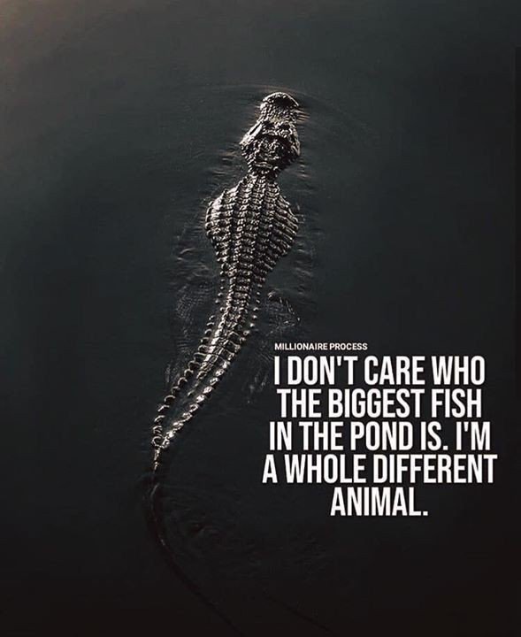 TonyLittleReal's tweet image. Don't play the game like they do, be a whole different animal. #Thoughts #Success #GameChanger