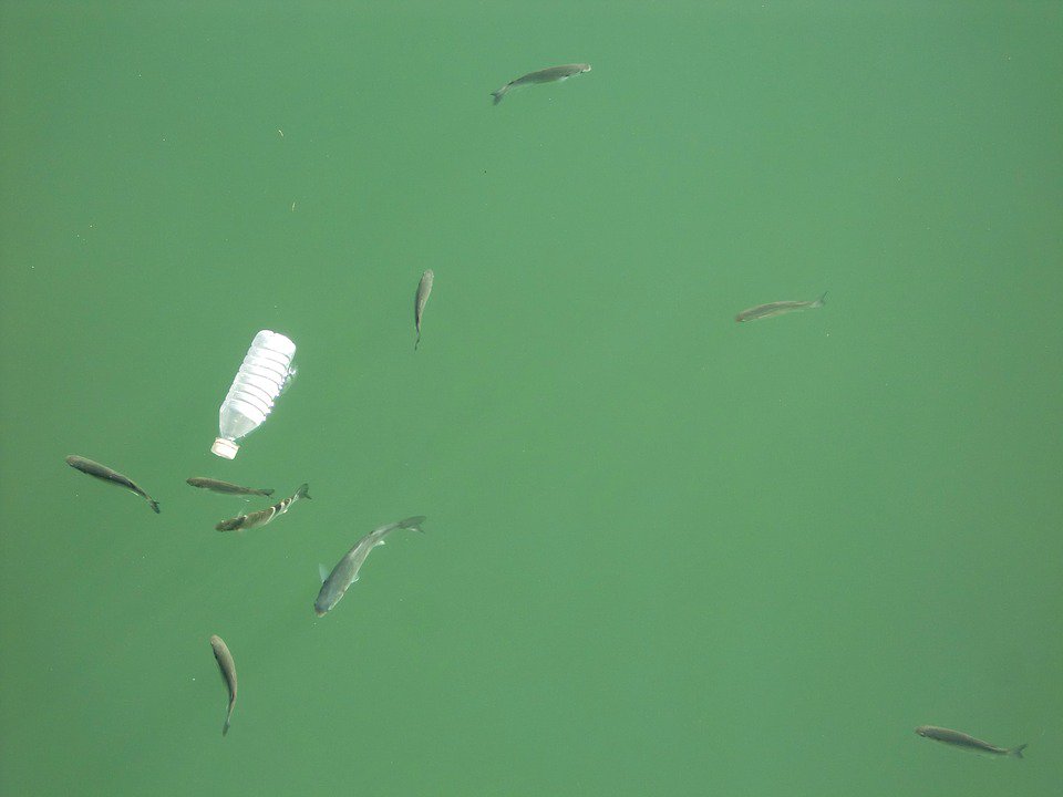 nbrly's tweet photo. Send us your best green #cleanup ideas! Successful proposals will receive an £800 donation to facilitate their project: https://t.co/u0qlHLhY0F Please share to help us spread the word :) @Plastic_Patrol @lizzieoutside https://t.co/yP3lUI9Gsf