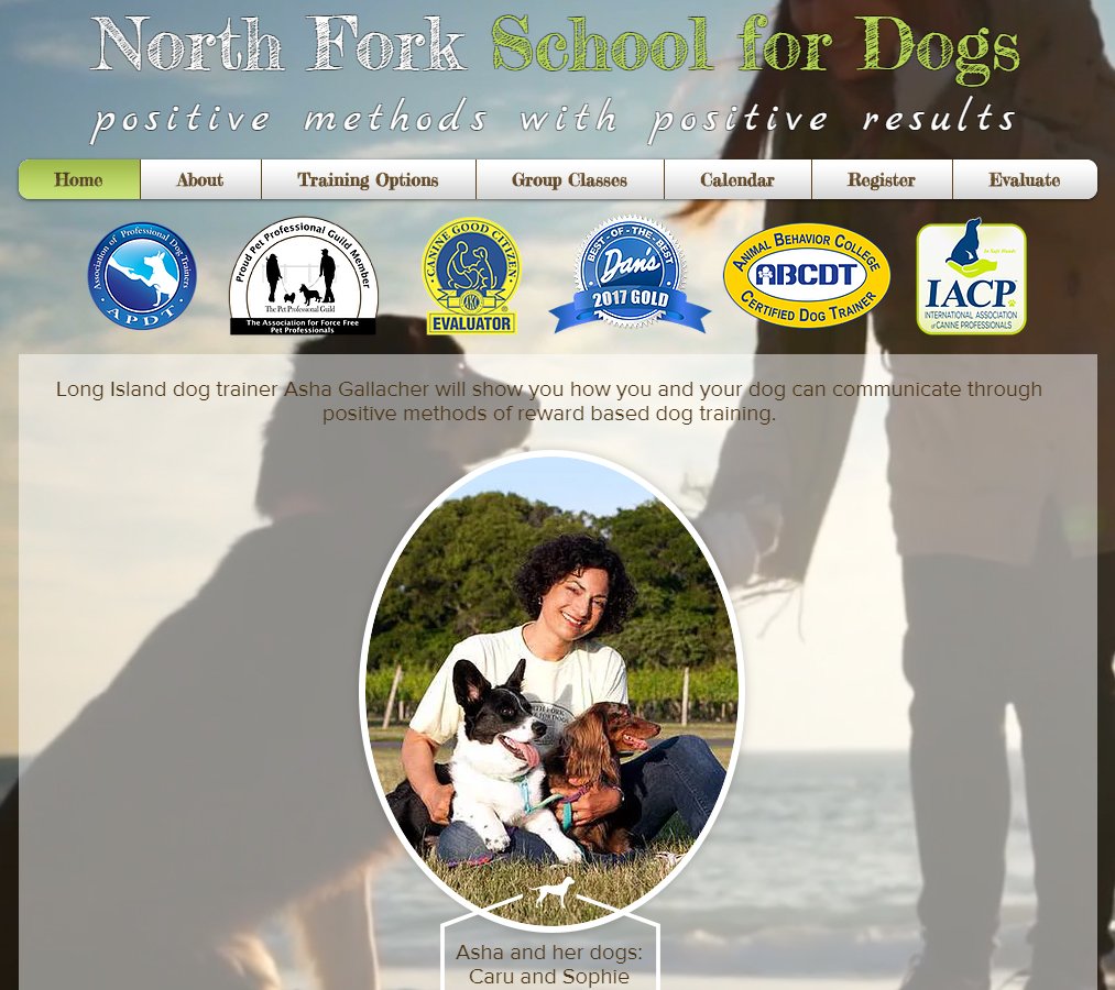 WildWizardWeb's tweet image. I am on the hunt for my next client! If you need a mobile friendly website, give me a call/text at 929-336-9712 or email shawn@velxlabny.com

$1500 per site. Domain/Hosting INCLUDED for the first year! Thank you. #webdesigner  #webdev #websites #SmallBusiness