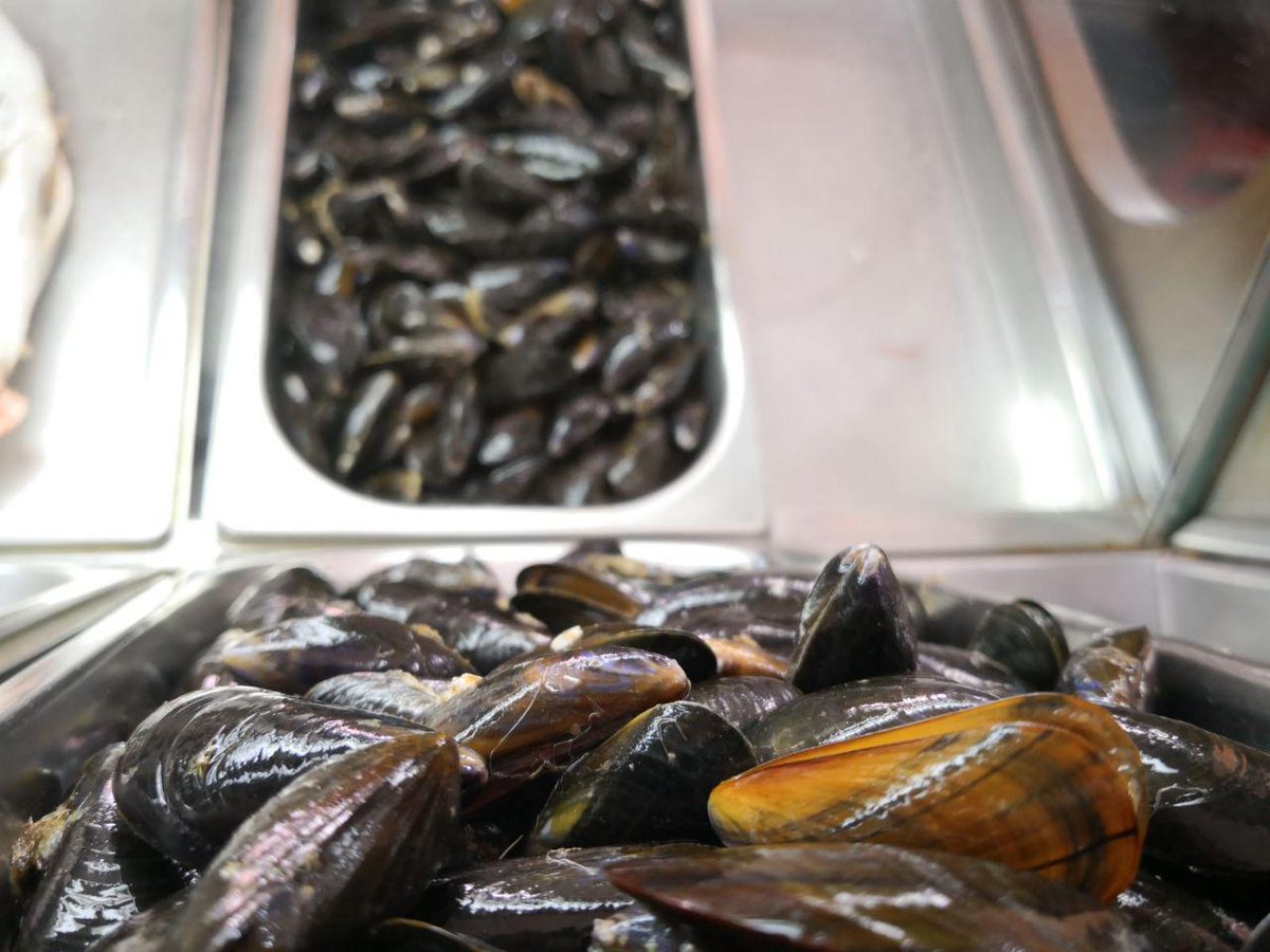 ArteyTapas's tweet photo. Y para el calor, algo fresco y no hay nada tan fresco como nuestro marisco del día, Mejillones de Bouchot(Baby) a la Marinera, con una buena cerveza fría... No te quedes con las ganas, te esperamos con todo preparado #mariscofresco #restaurante #Castilleja #comida #arteyTapas https://t.co/0v9zzMk1pP