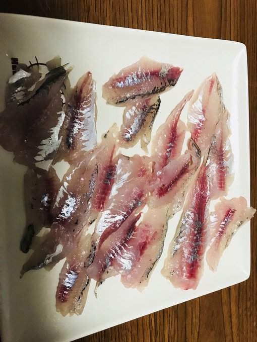サビキ釣りのコツ アジとイワシの裏技仕掛け サビキ釣りで爆釣する秘訣とは Fishing Fishing