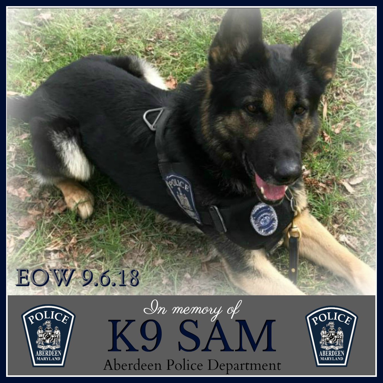 Aberdeen Police Dept on Twitter "We suffered a heartbreaking loss