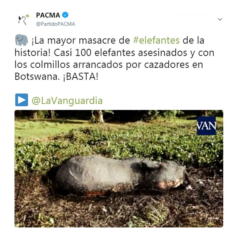 Pacma responsabiliza a los cazadores de la masacre de elefantes bit.ly/2oKnZpH #ElCotodeCaza #Cazadores #Caza #PACMA #Furtivos #Masacre #Elefantes #Acoso #Botswana #África