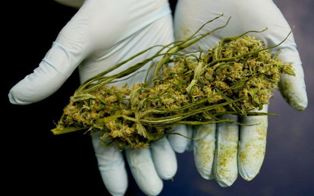 CBD International tweet media